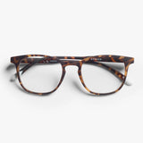 Tobacco Tortoiseshell