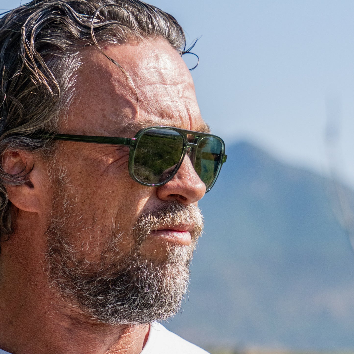 Aviator Signature Luxury Sunglasses
